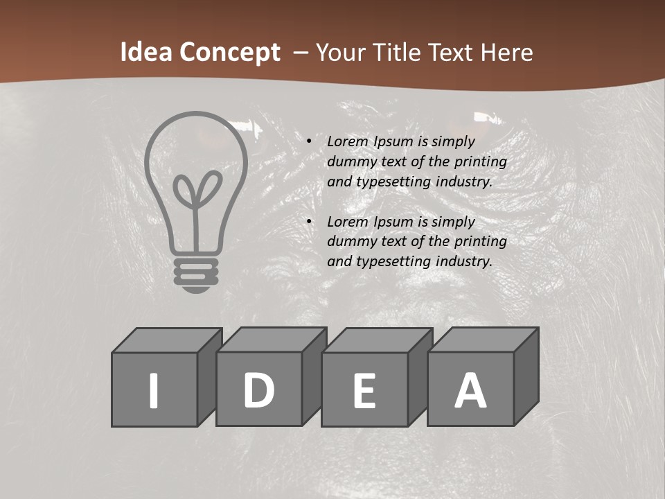 Expressive Studio Shot Isolated On White PowerPoint Template