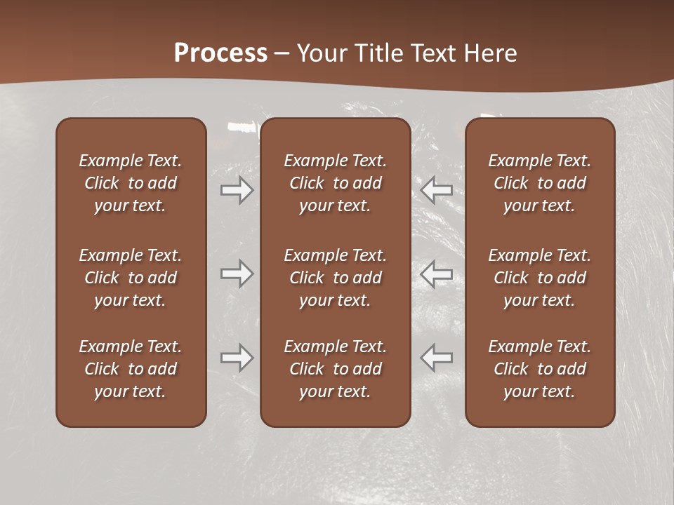 Expressive Studio Shot Isolated On White PowerPoint Template
