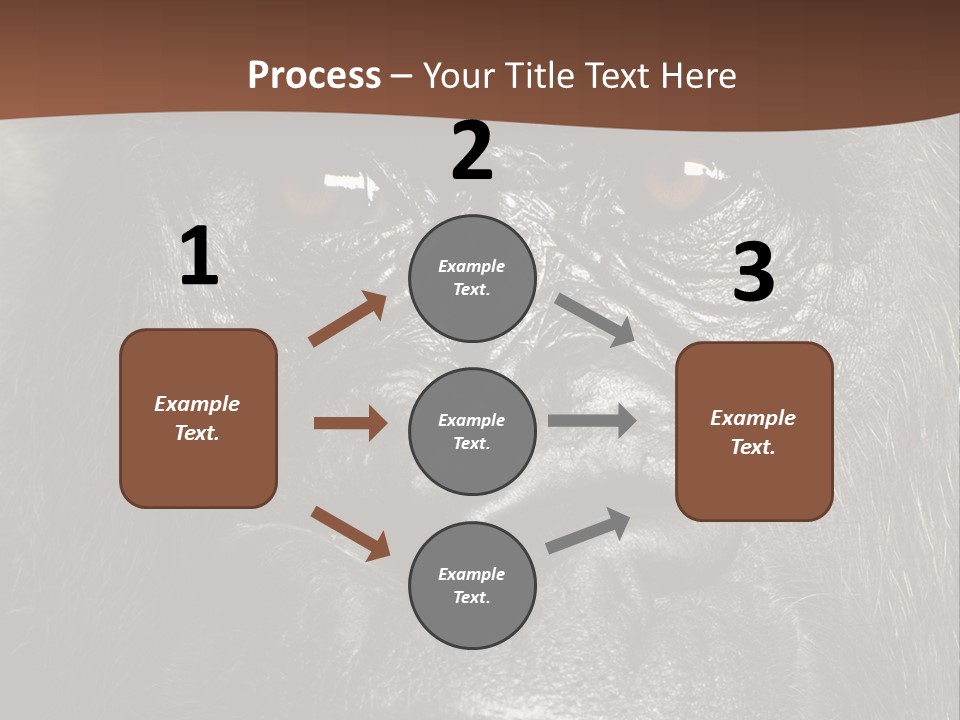 Expressive Studio Shot Isolated On White PowerPoint Template