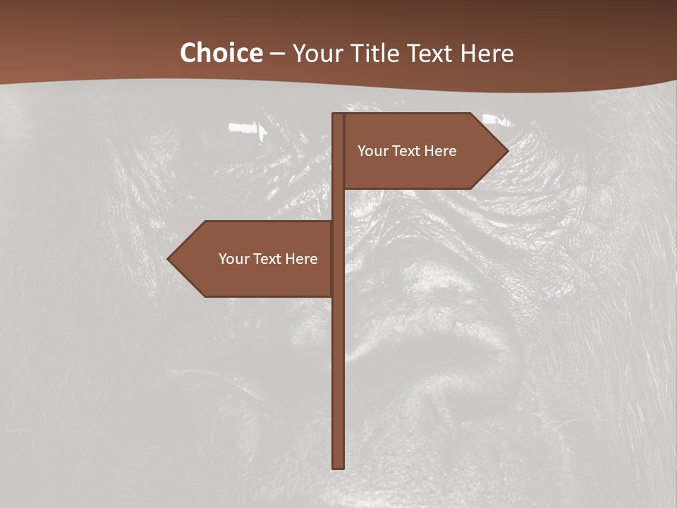 Expressive Studio Shot Isolated On White PowerPoint Template