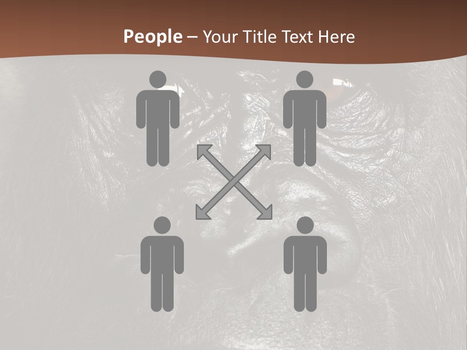 Expressive Studio Shot Isolated On White PowerPoint Template