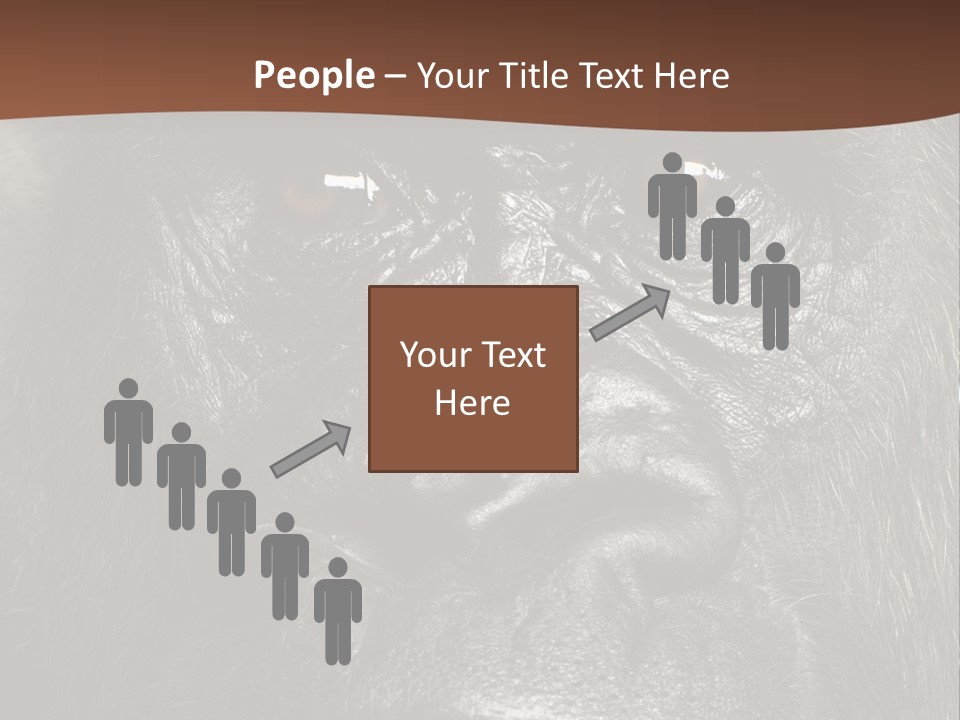 Expressive Studio Shot Isolated On White PowerPoint Template