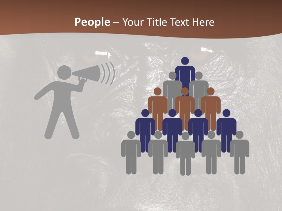 Expressive Studio Shot Isolated On White PowerPoint Template