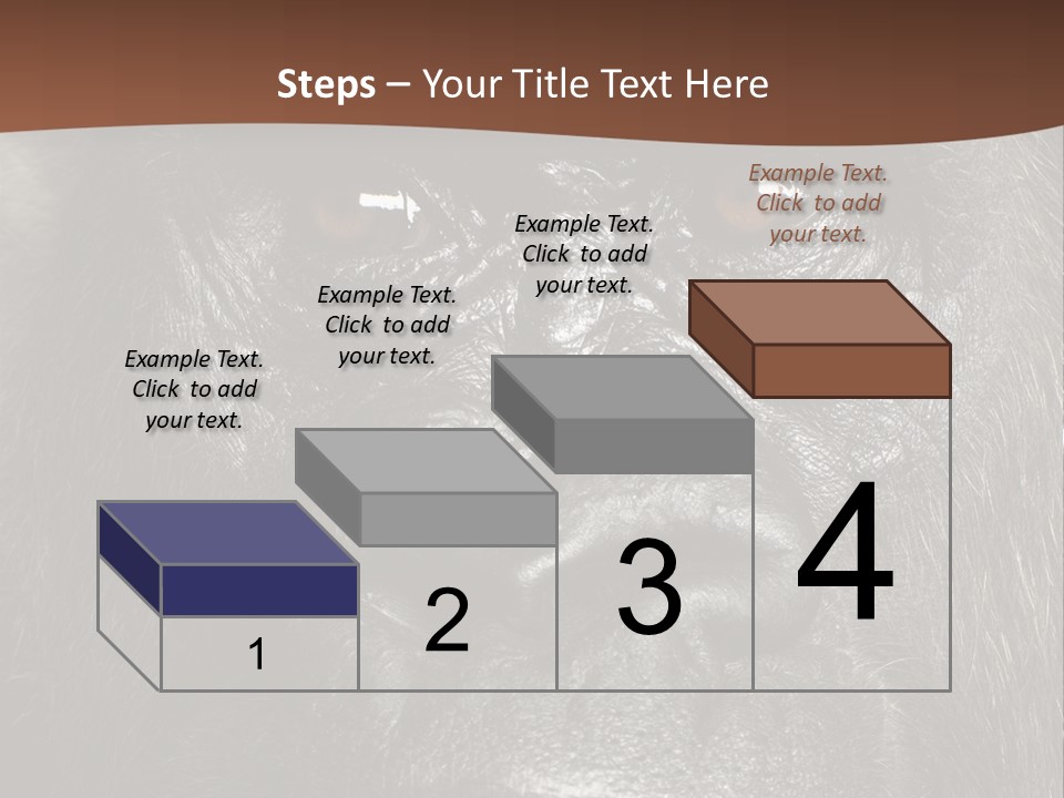 Expressive Studio Shot Isolated On White PowerPoint Template