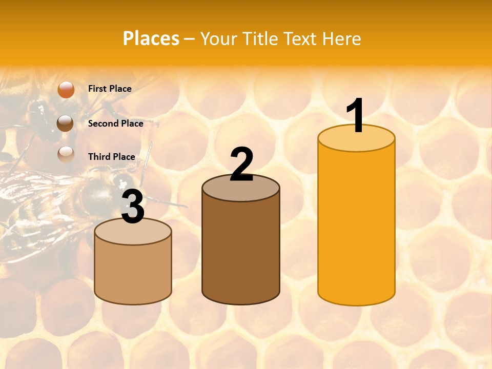 Honeycomb Beeswax Insect PowerPoint Template