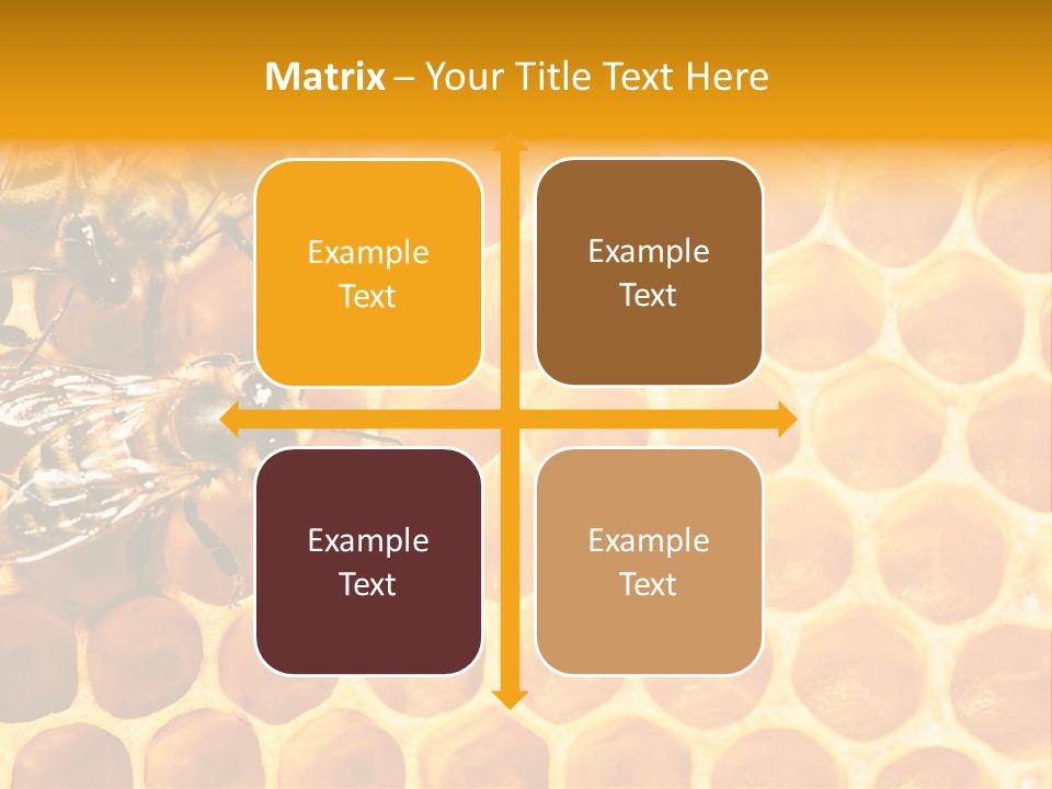 Honeycomb Beeswax Insect PowerPoint Template