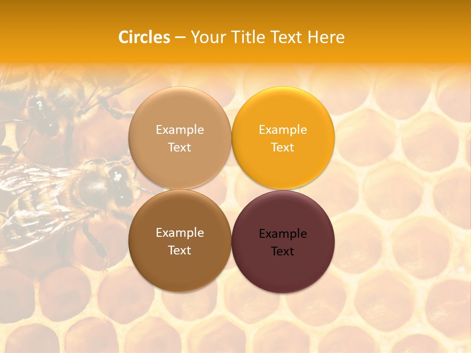 Honeycomb Beeswax Insect PowerPoint Template