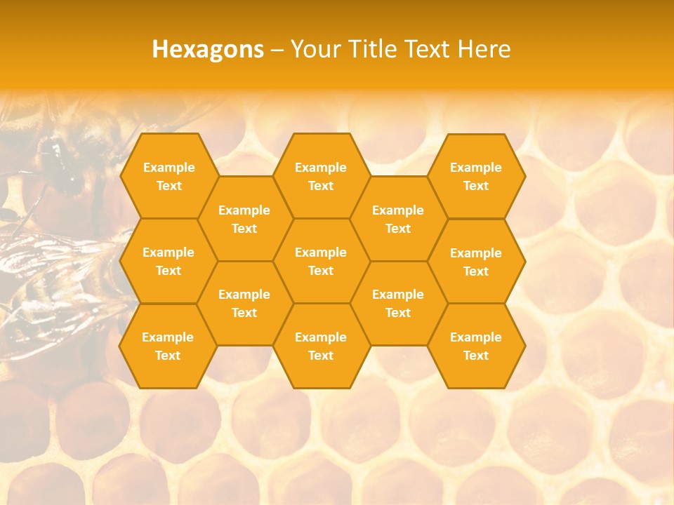 Honeycomb Beeswax Insect PowerPoint Template
