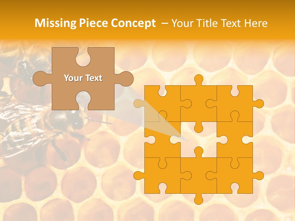 Honeycomb Beeswax Insect PowerPoint Template