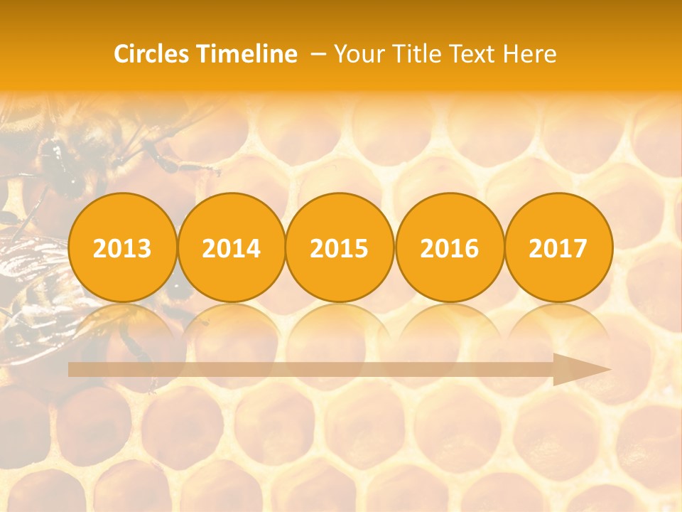 Honeycomb Beeswax Insect PowerPoint Template