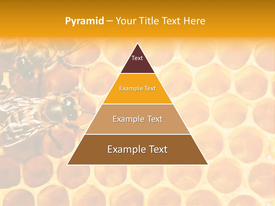 Honeycomb Beeswax Insect PowerPoint Template