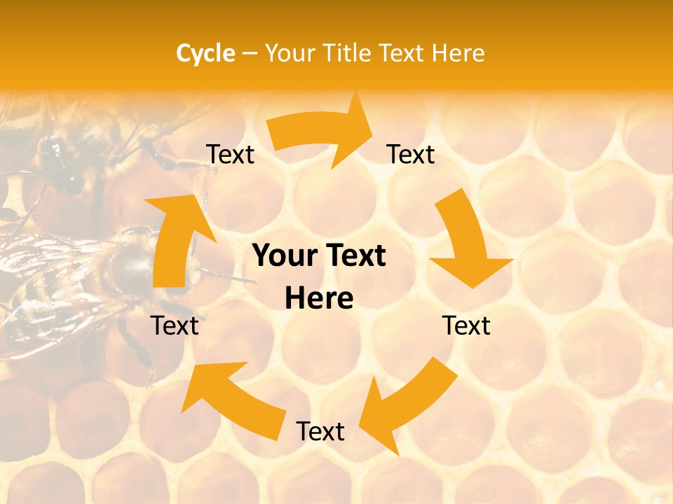 Honeycomb Beeswax Insect PowerPoint Template