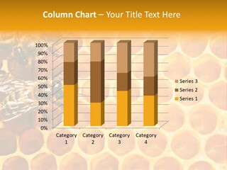 Honeycomb Beeswax Insect PowerPoint Template