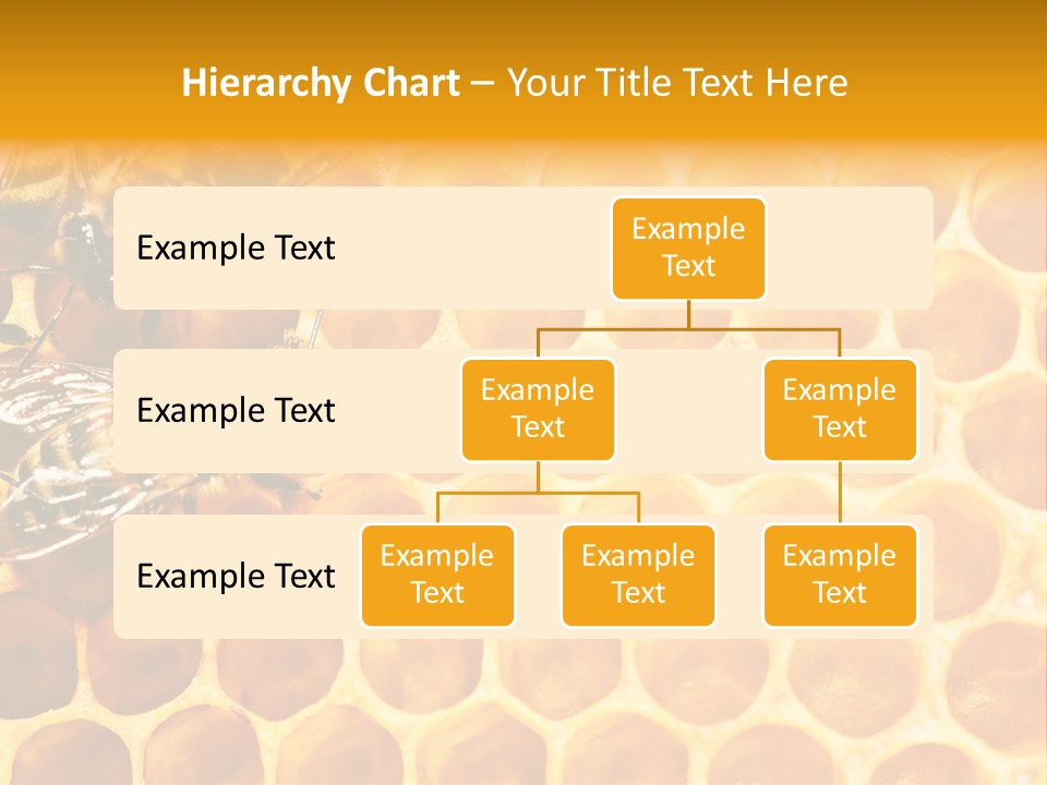 Honeycomb Beeswax Insect PowerPoint Template