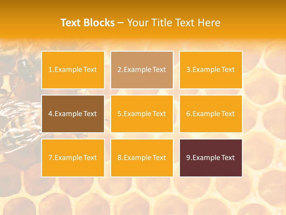 Honeycomb Beeswax Insect PowerPoint Template