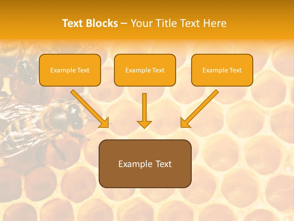 Honeycomb Beeswax Insect PowerPoint Template