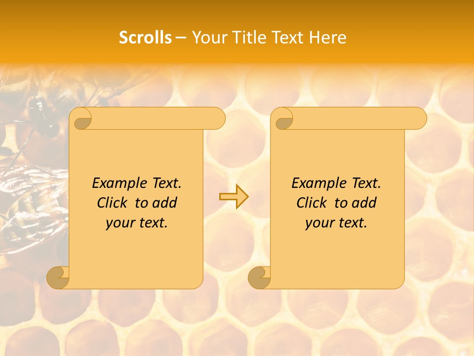Honeycomb Beeswax Insect PowerPoint Template