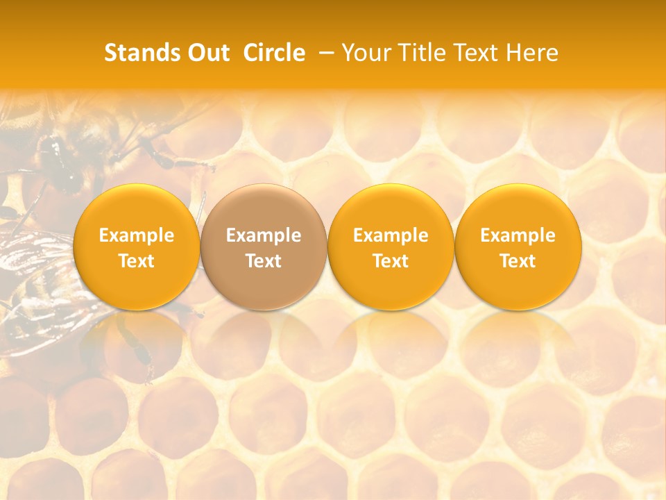 Honeycomb Beeswax Insect PowerPoint Template