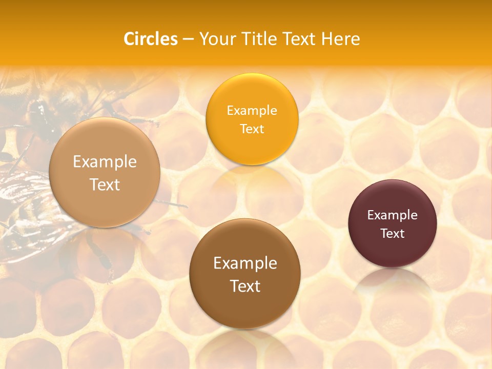 Honeycomb Beeswax Insect PowerPoint Template