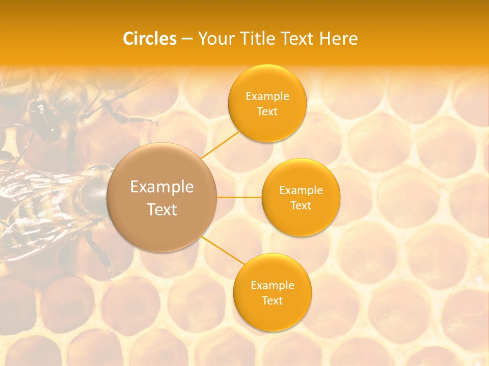 Honeycomb Beeswax Insect PowerPoint Template