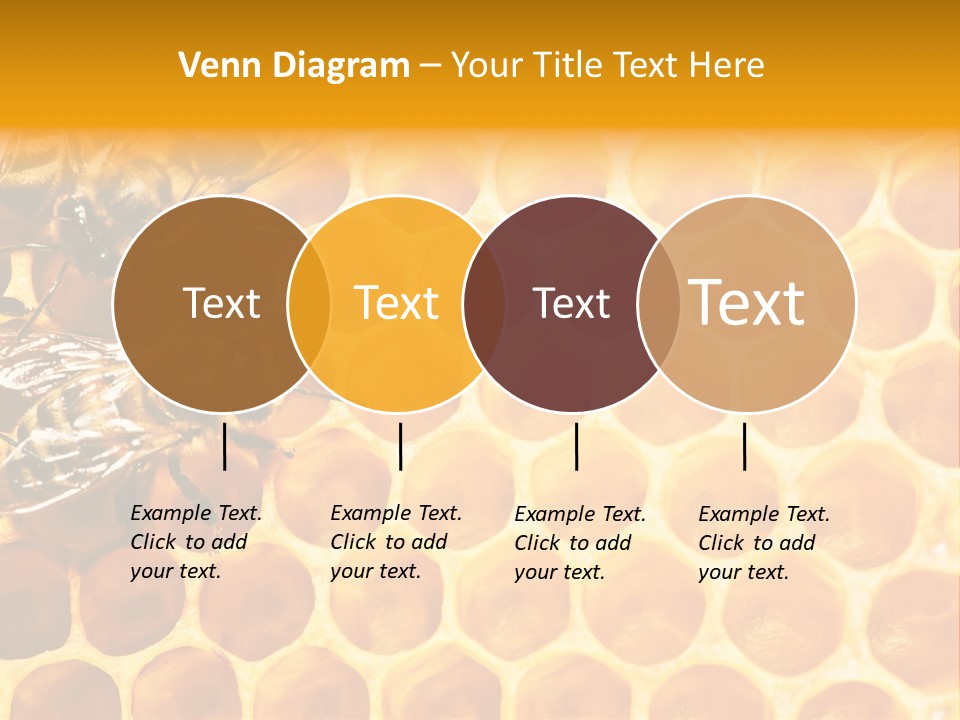 Honeycomb Beeswax Insect PowerPoint Template