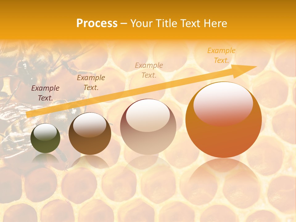 Honeycomb Beeswax Insect PowerPoint Template