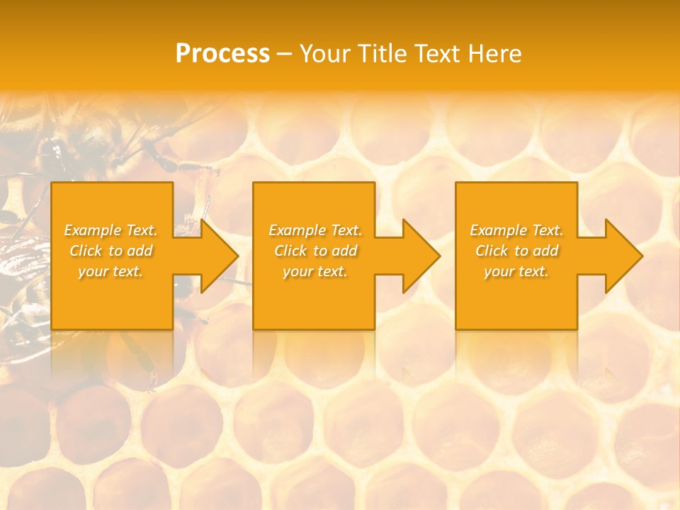Honeycomb Beeswax Insect PowerPoint Template