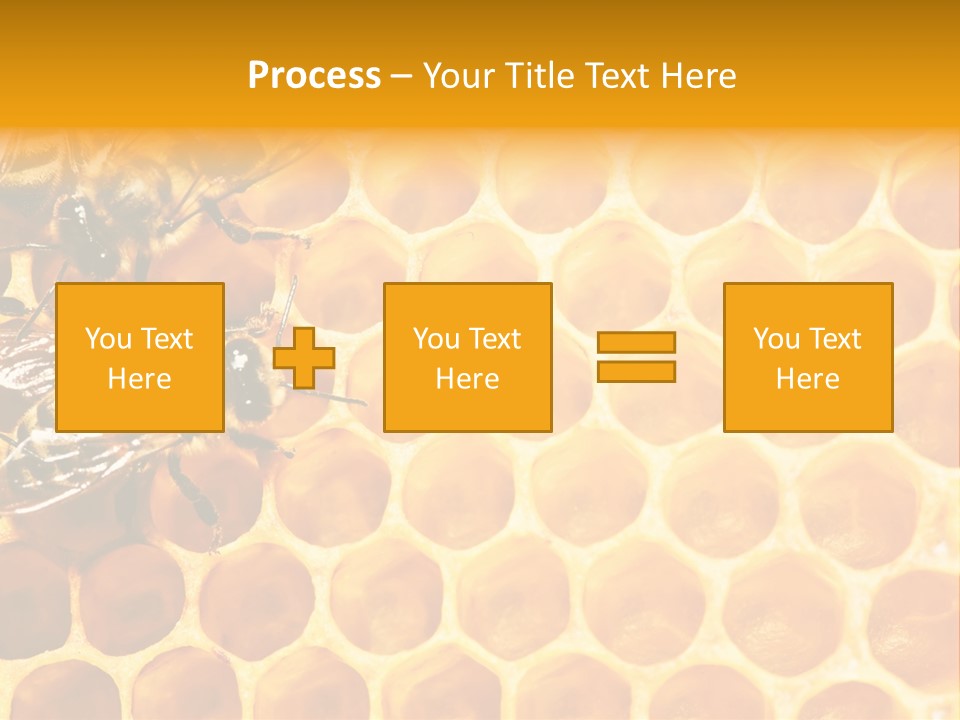 Honeycomb Beeswax Insect PowerPoint Template
