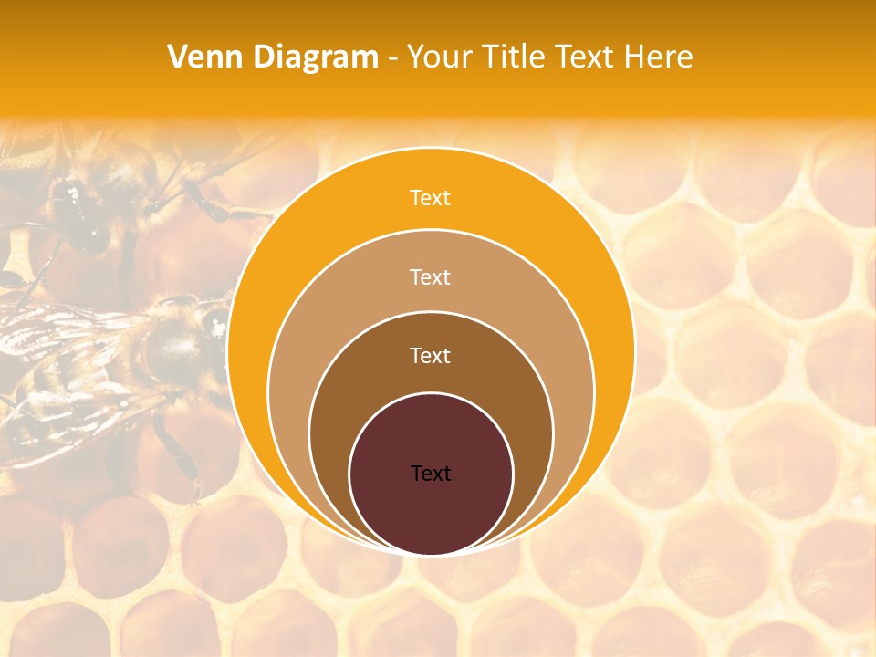 Honeycomb Beeswax Insect PowerPoint Template