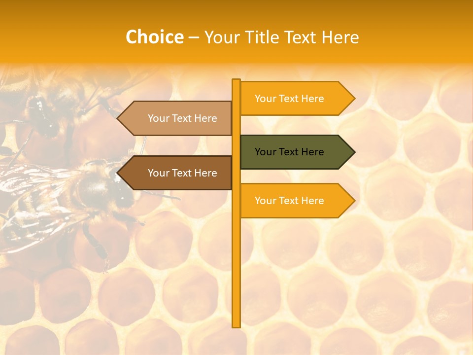 Honeycomb Beeswax Insect PowerPoint Template