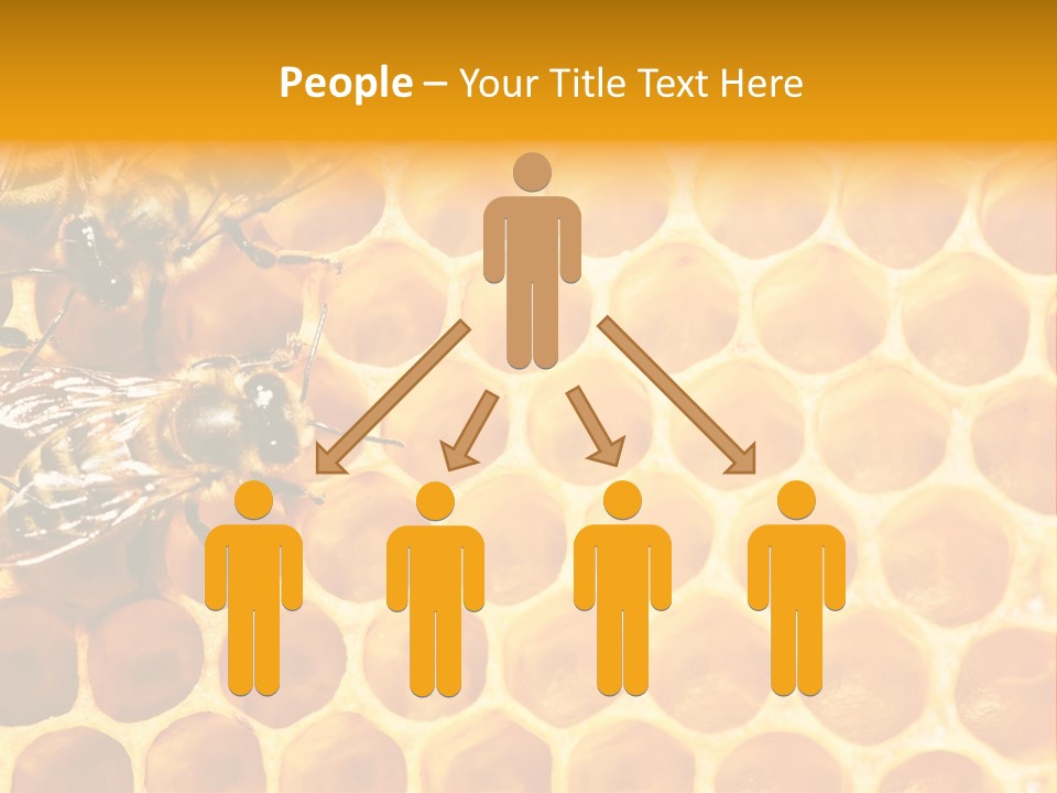 Honeycomb Beeswax Insect PowerPoint Template