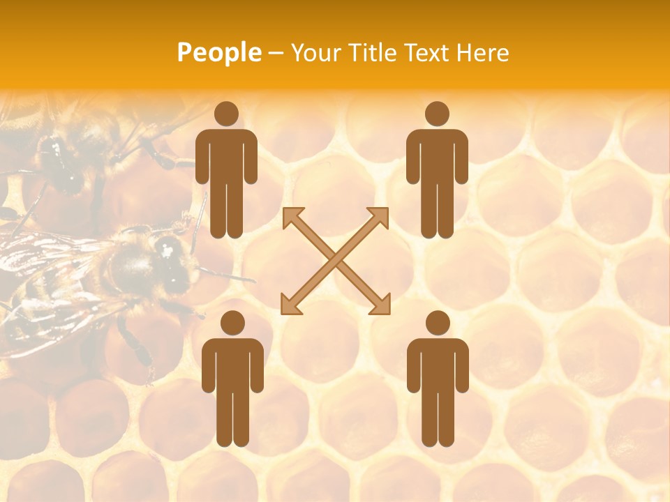 Honeycomb Beeswax Insect PowerPoint Template