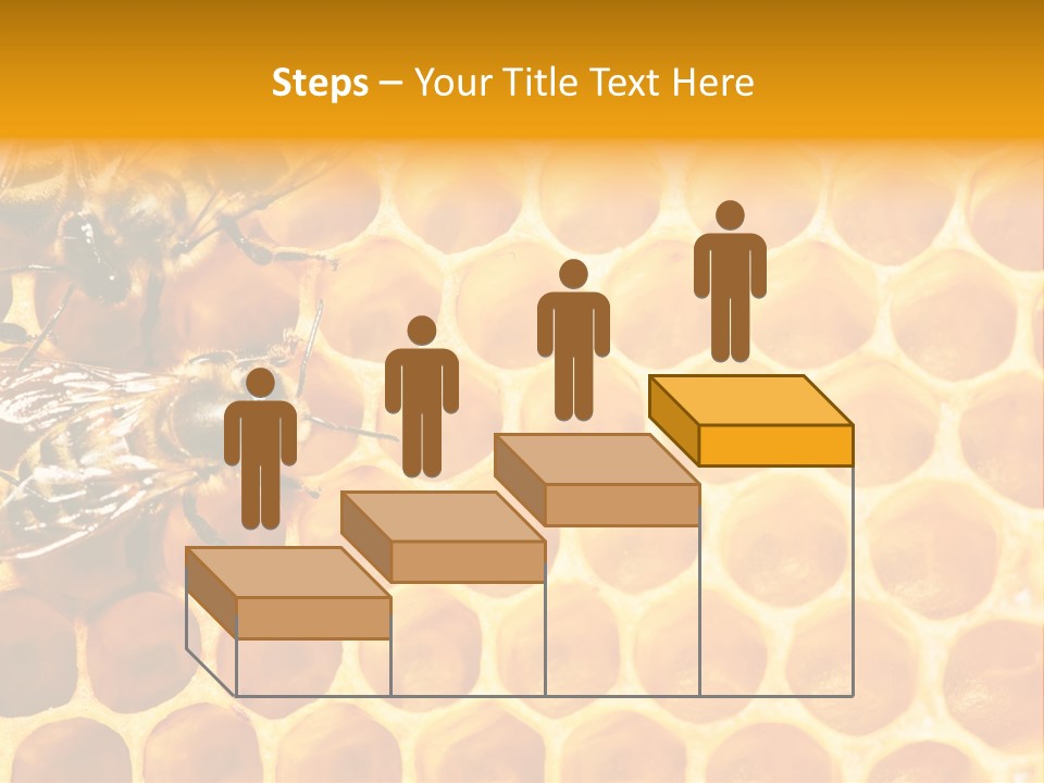Honeycomb Beeswax Insect PowerPoint Template