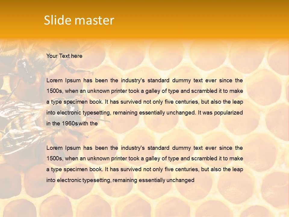 Out Studious Macro PowerPoint Template