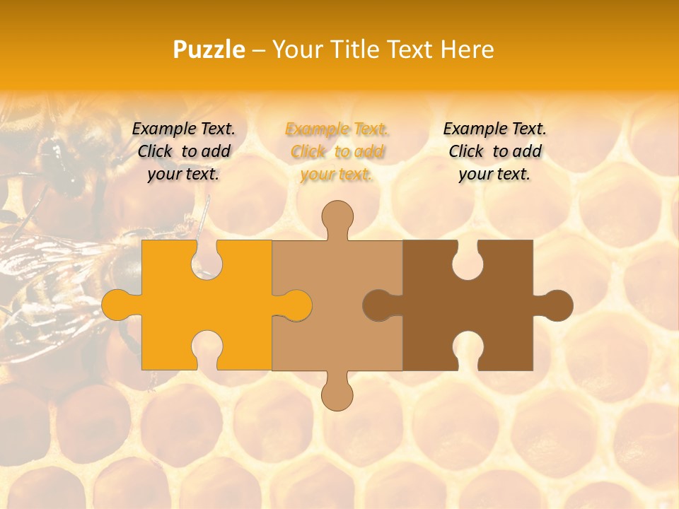 Out Studious Macro PowerPoint Template