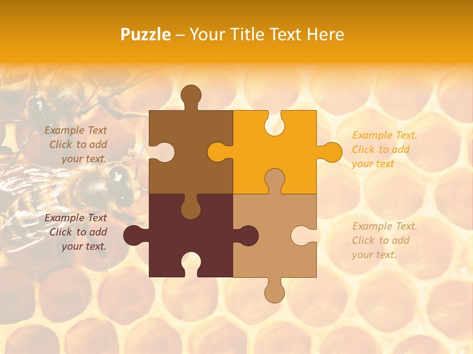 Out Studious Macro PowerPoint Template