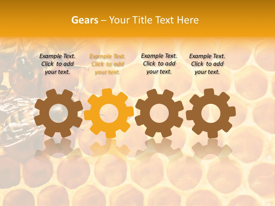 Out Studious Macro PowerPoint Template