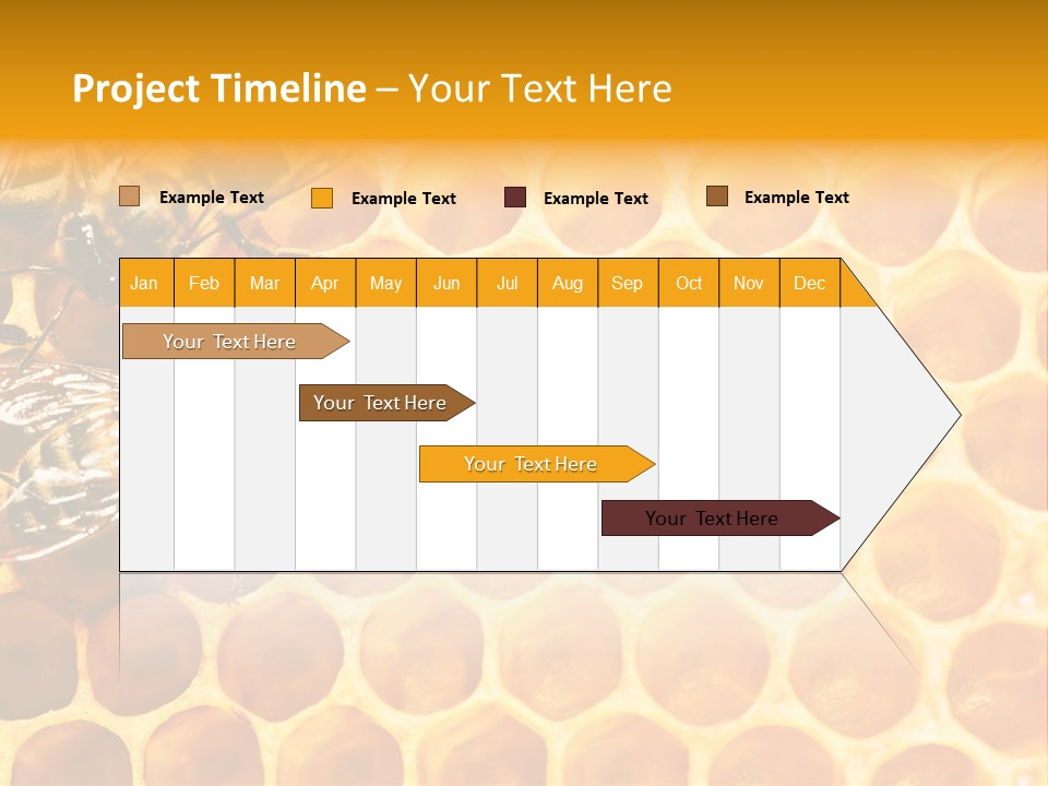 Out Studious Macro PowerPoint Template