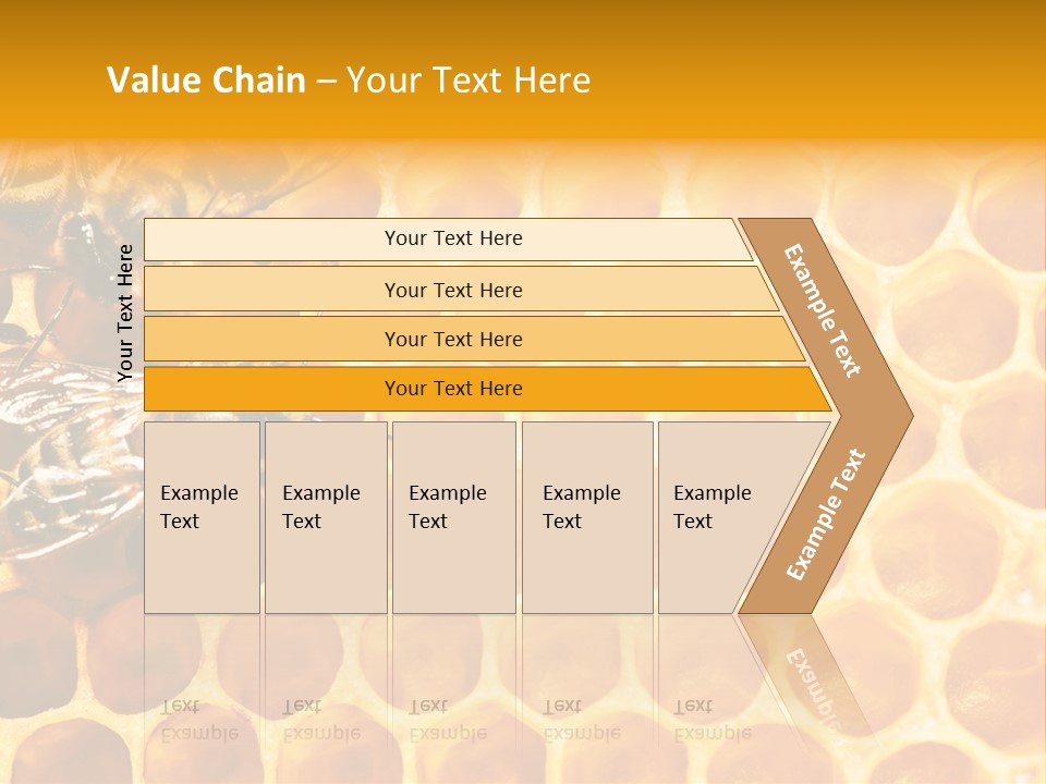 Out Studious Macro PowerPoint Template