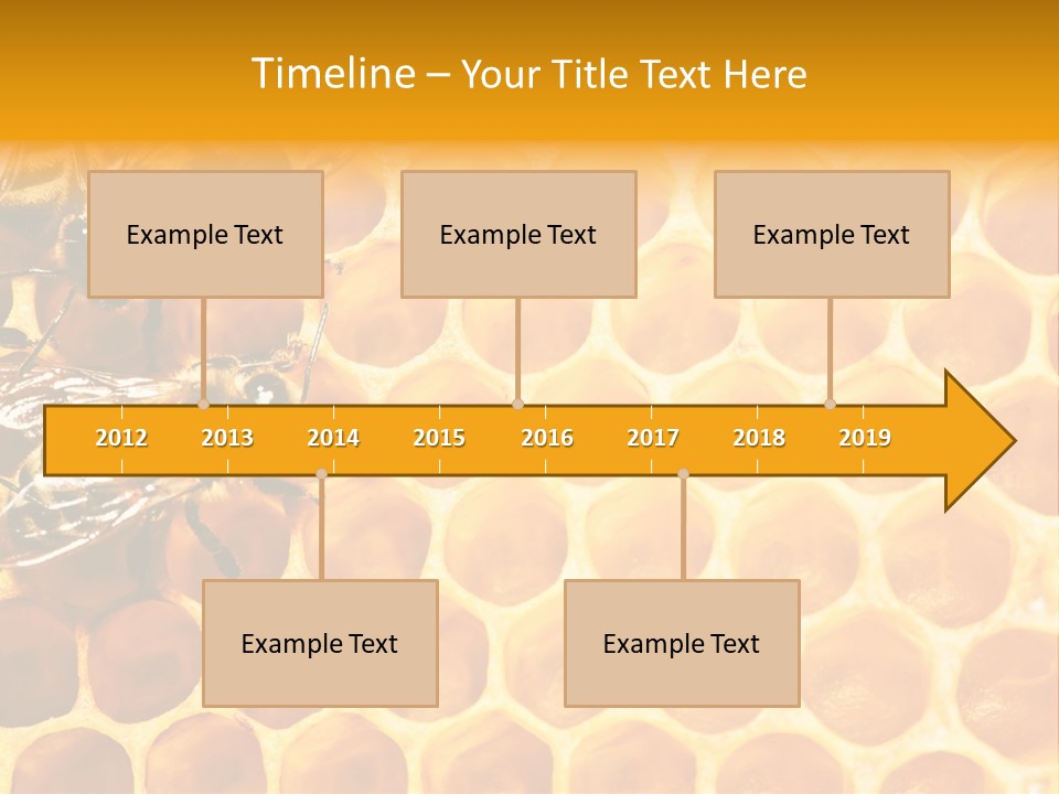 Out Studious Macro PowerPoint Template