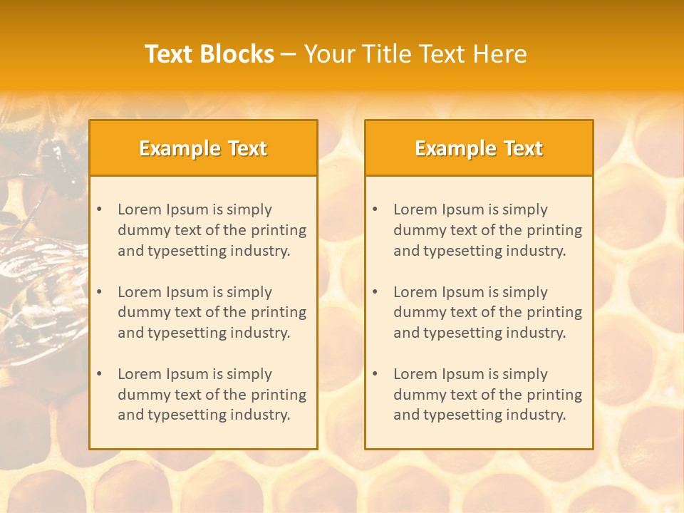 Out Studious Macro PowerPoint Template
