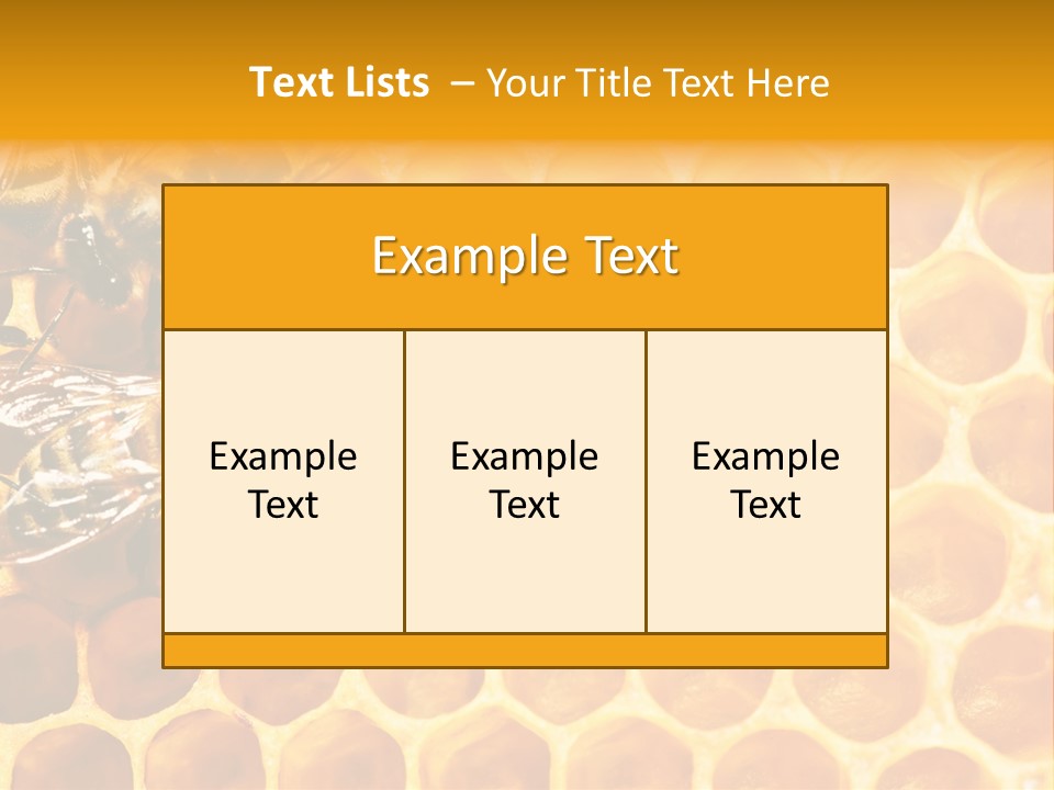 Out Studious Macro PowerPoint Template