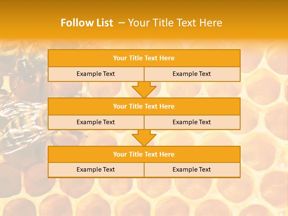 Out Studious Macro PowerPoint Template