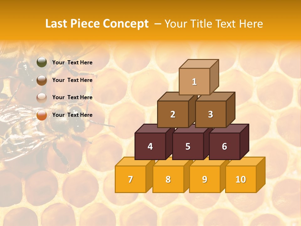 Out Studious Macro PowerPoint Template