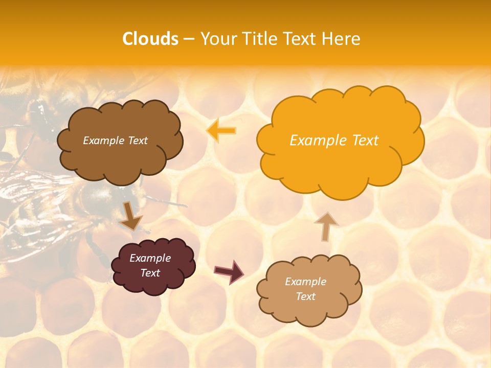 Out Studious Macro PowerPoint Template
