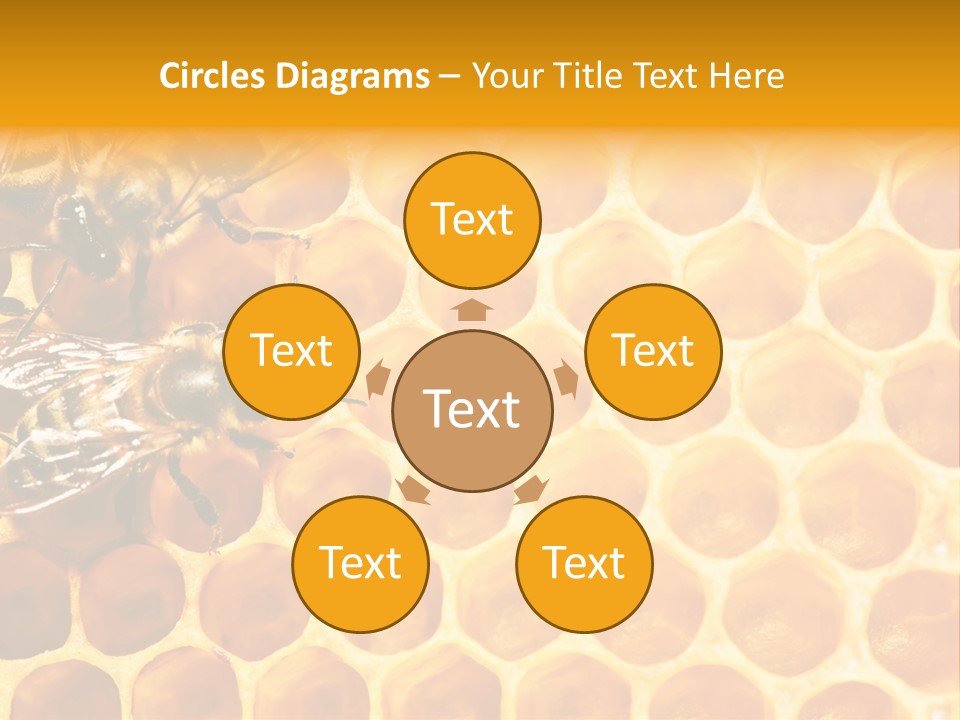 Out Studious Macro PowerPoint Template