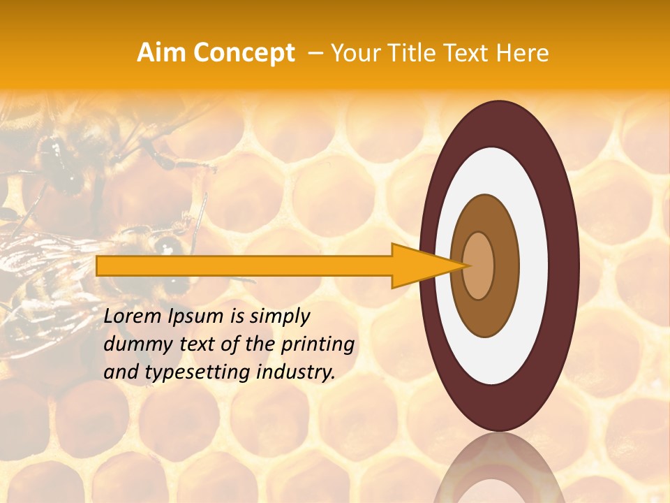 Out Studious Macro PowerPoint Template