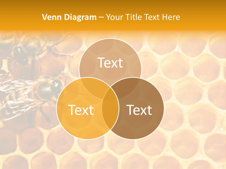 Out Studious Macro PowerPoint Template