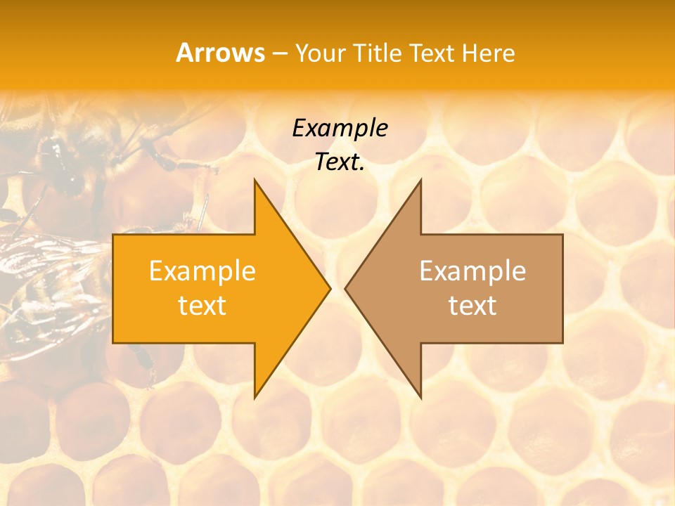 Out Studious Macro PowerPoint Template