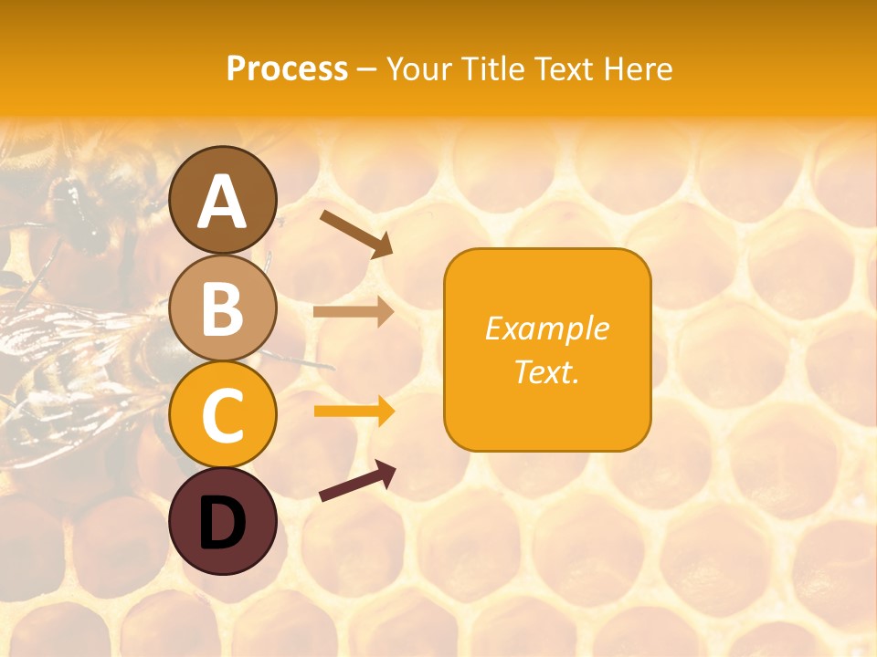 Out Studious Macro PowerPoint Template